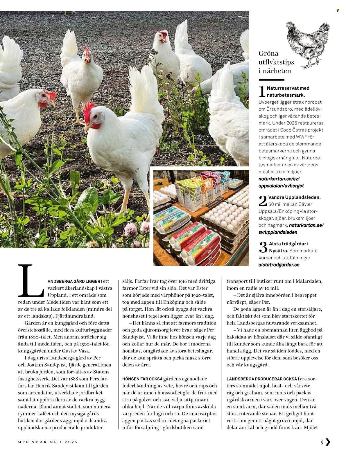 Coop reklamblad.