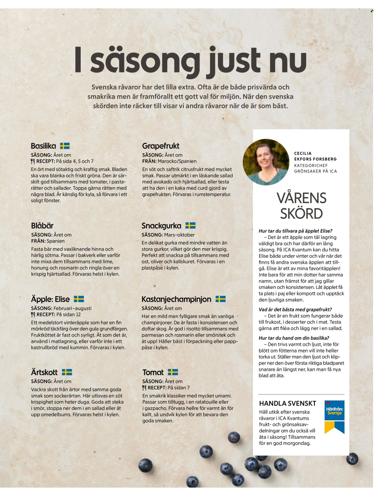 ICA reklamblad.