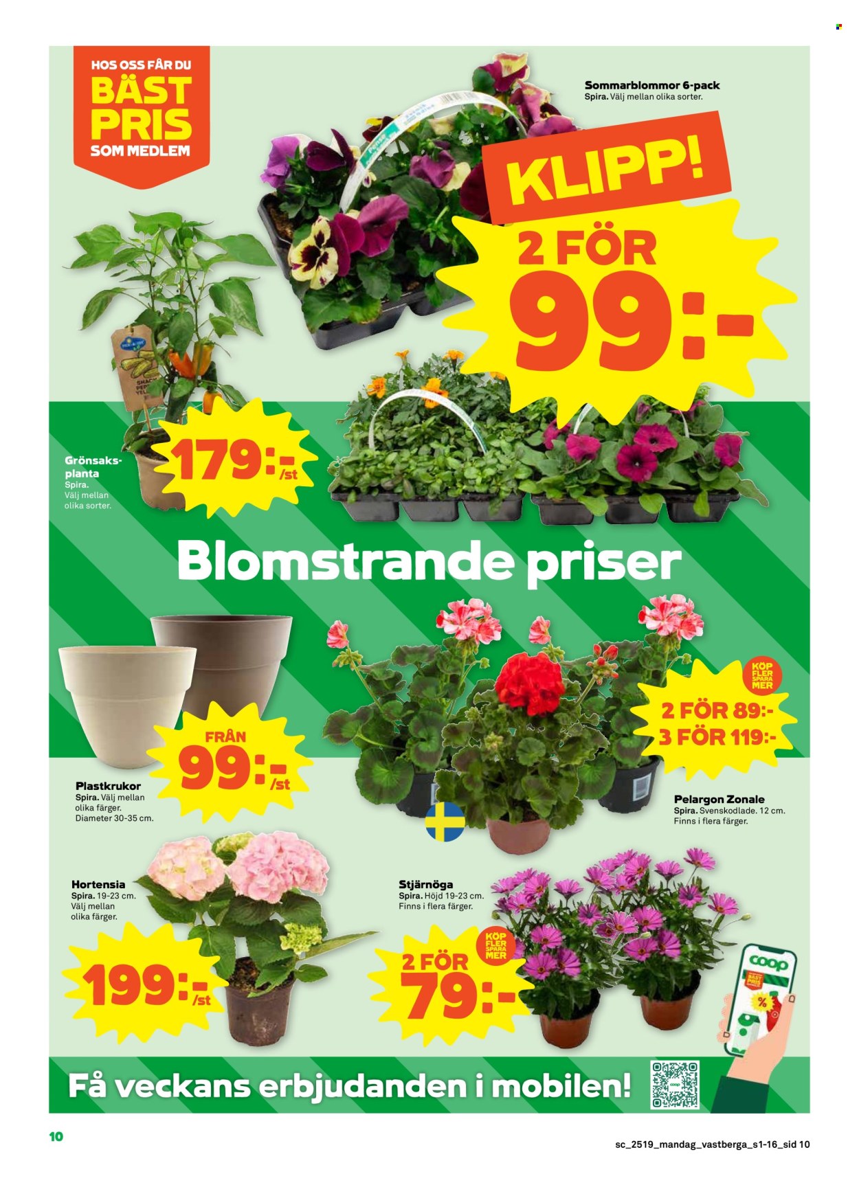 Stora Coop reklamblad - 5/5 2025 - 11/5 2025.