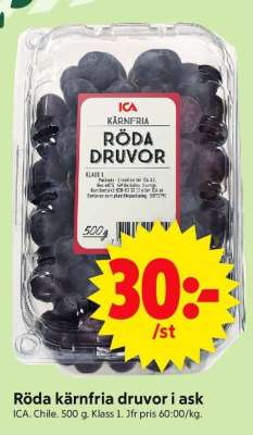 RÖDA KÄRNFRIA DRUVOR I ASK