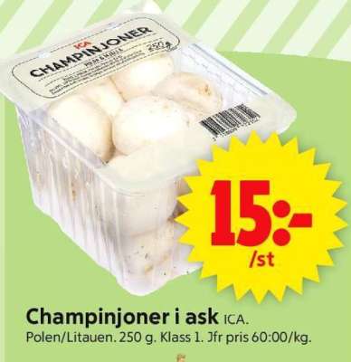 CHAMPINJONER I ASK
