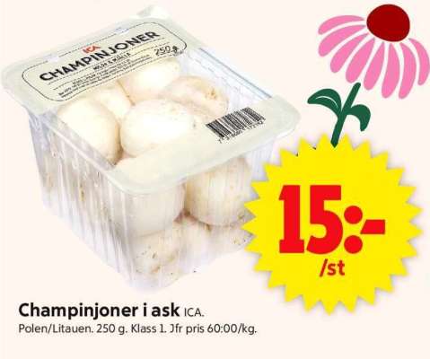CHAMPINJONER I ASK