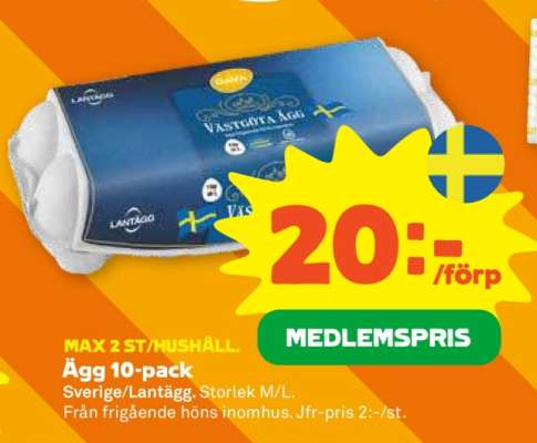 Ägg 10-pack