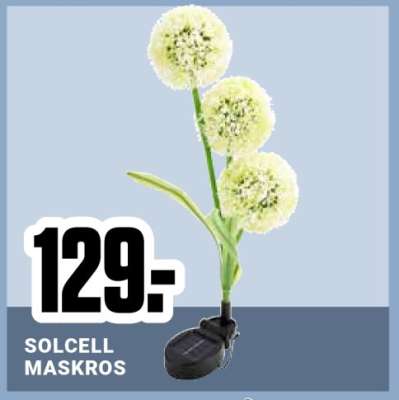 SOLCELL MASKROS