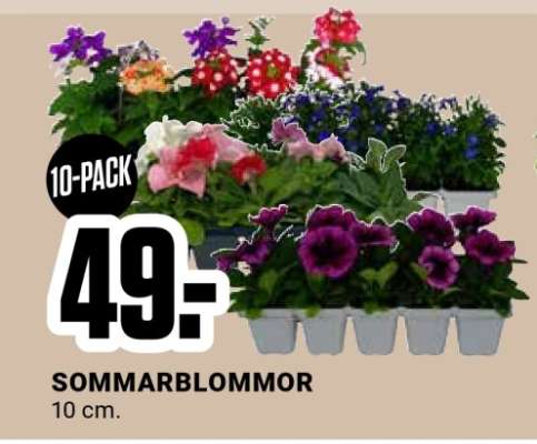 Sommarblommor