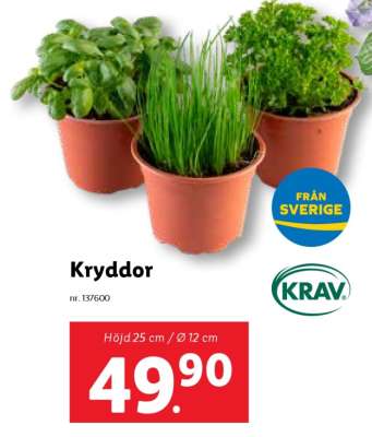KRYDDOR
