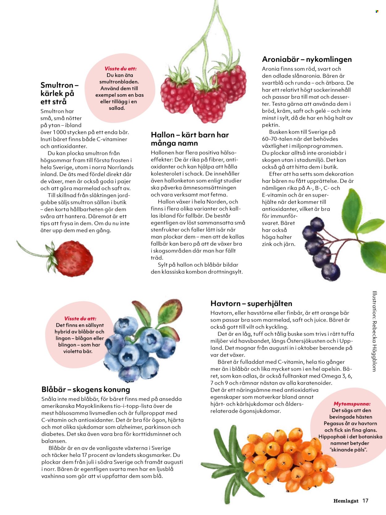 Hemköp reklamblad. Sida 17