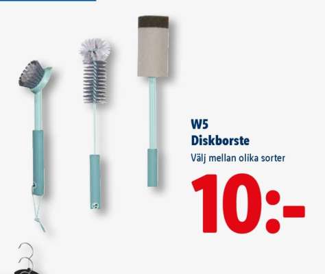 W5 Diskborste