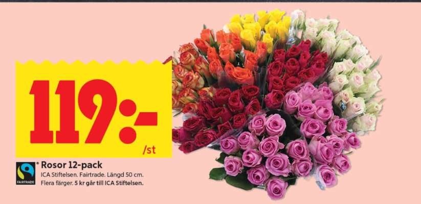 Rosor 12-pack