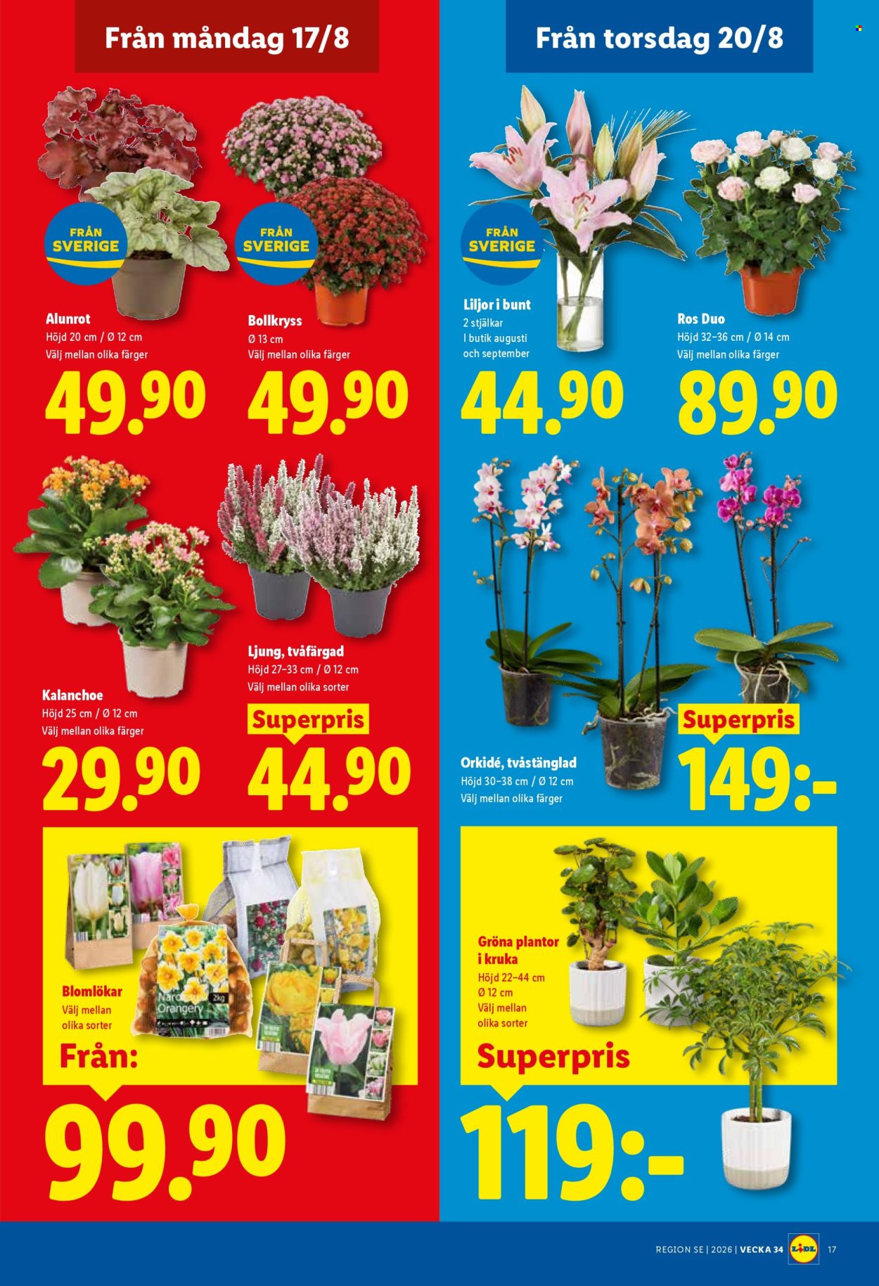Lidl reklamblad - 17/8 2026 - 23/8 2026. Sida 21