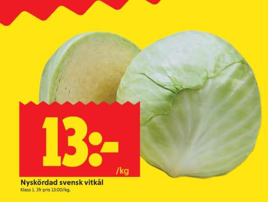 Nyskördad svensk vitkål