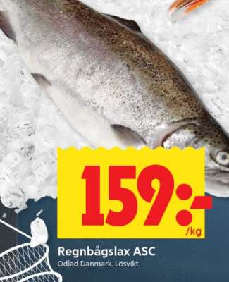 Regnbågslax ASC