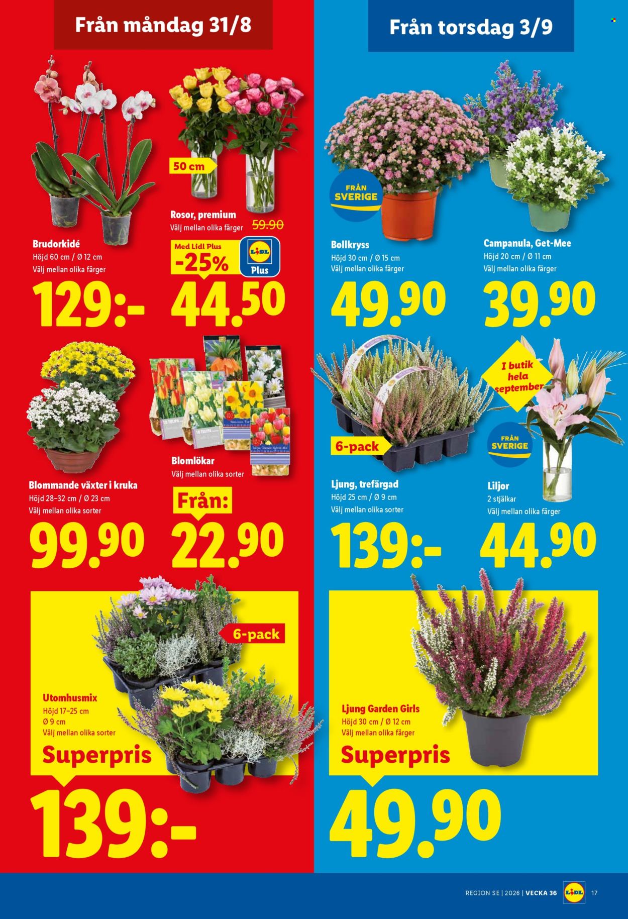 Lidl reklamblad - 31/8 2026 - 6/9 2026. Sida 20