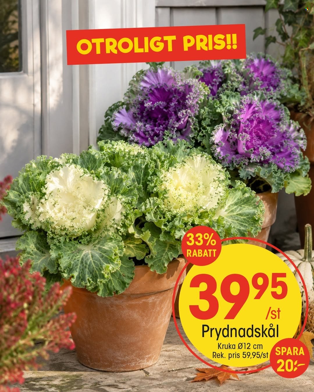 EKO reklamblad. Sida 5