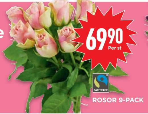 ROSOR 9-PACK