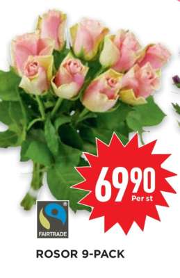ROSOR 9-PACK