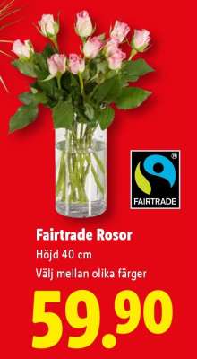 Fairtrade rosor