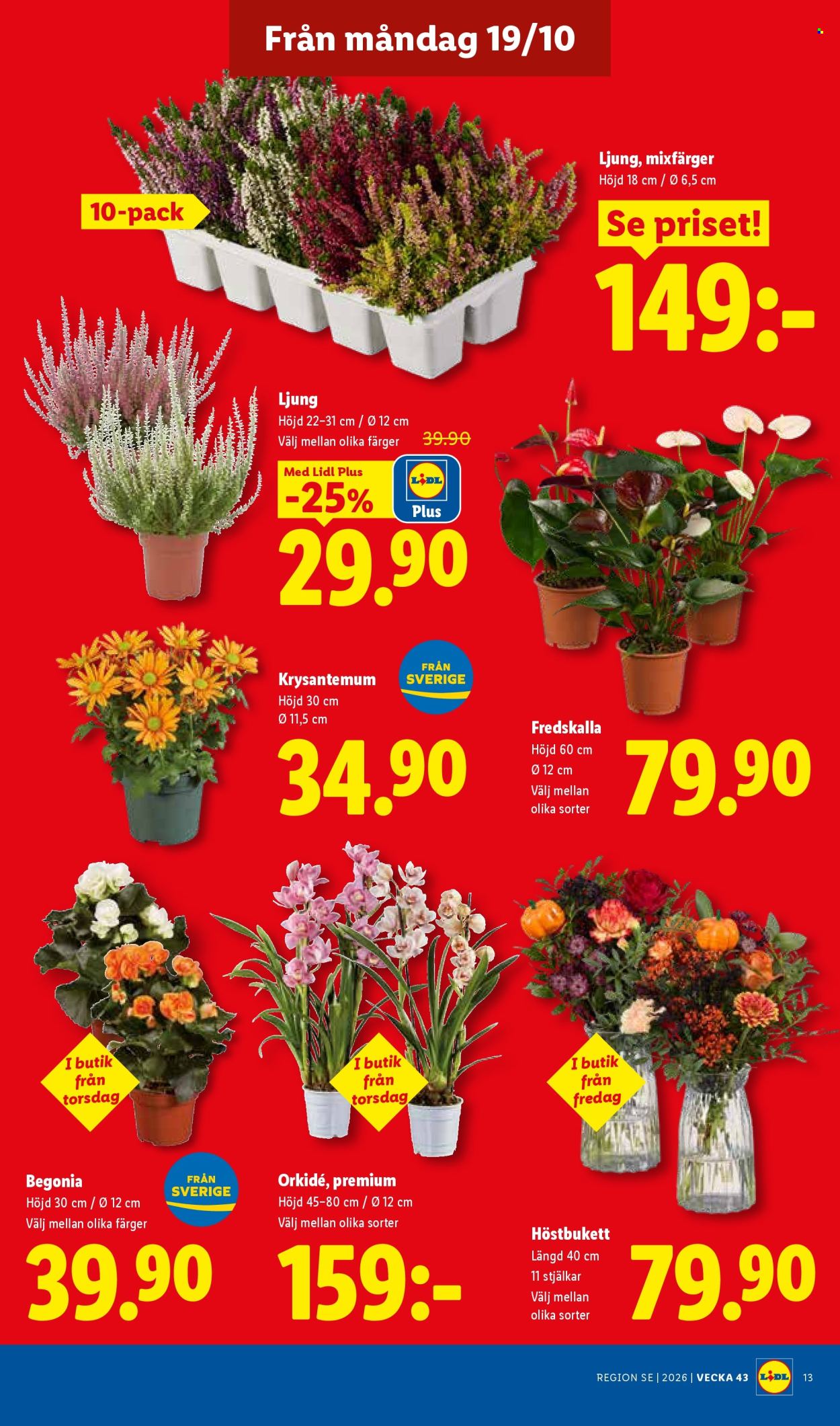 Lidl reklamblad - 19/10 2026 - 25/10 2026. Sida 16
