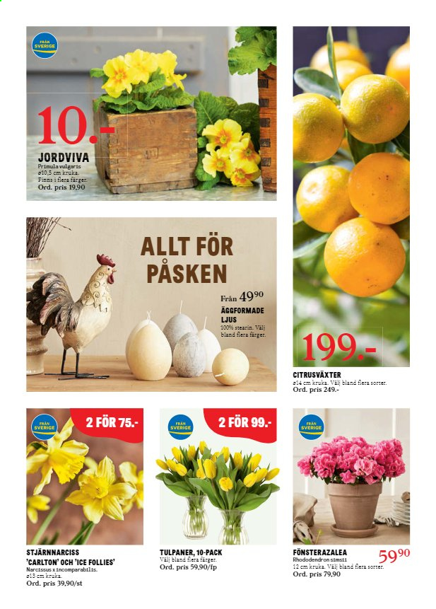 Blomsterlandet reklamblad - 1/3 2021 - 7/3 2021.