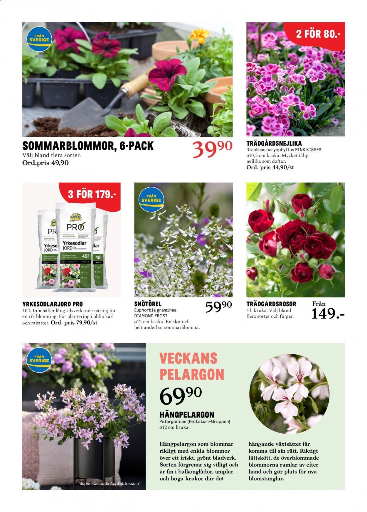 Blomsterlandet reklamblad - 24/5 2021 - 30/5 2021.