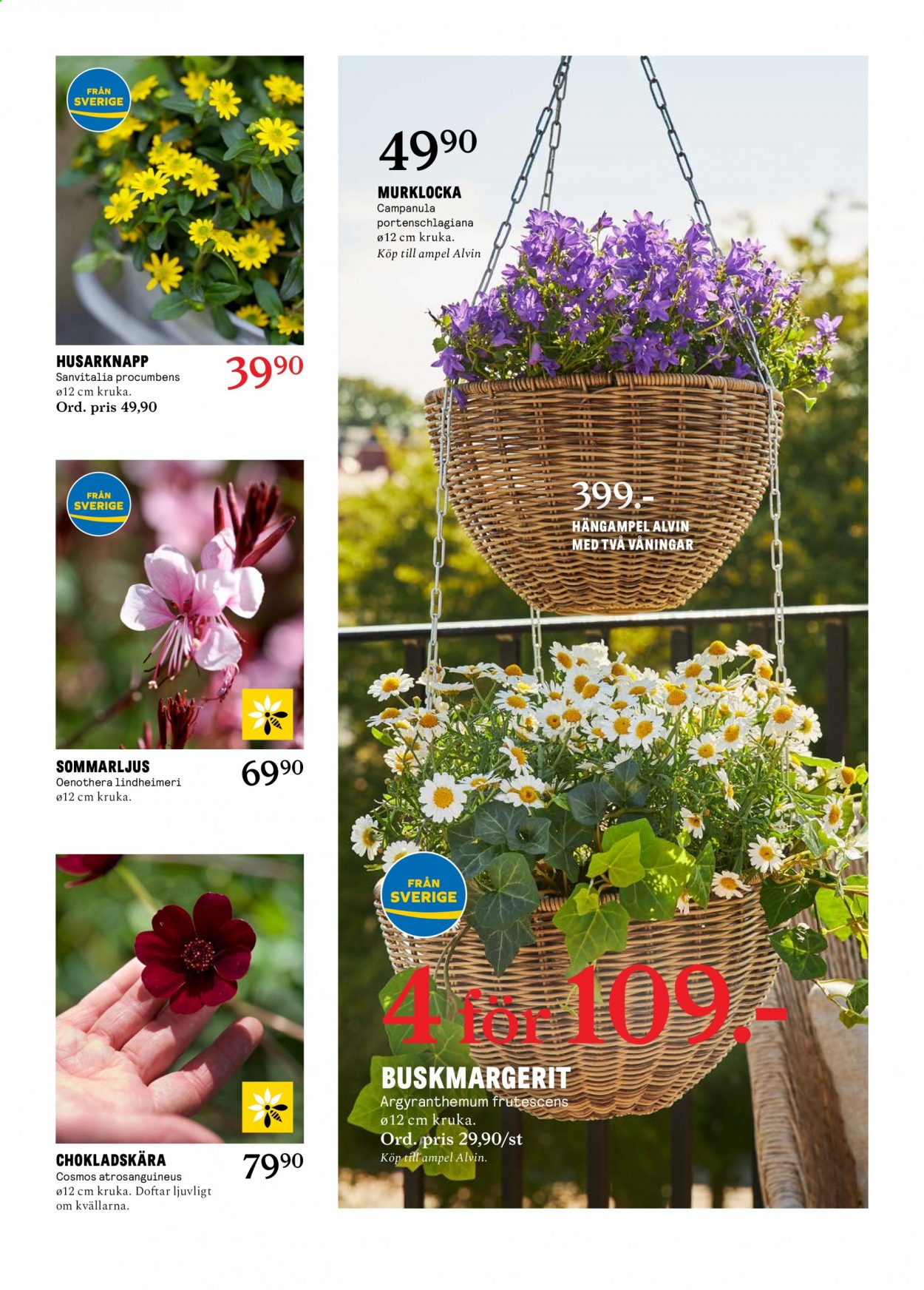 Blomsterlandet reklamblad - 7/6 2021 - 13/6 2021.