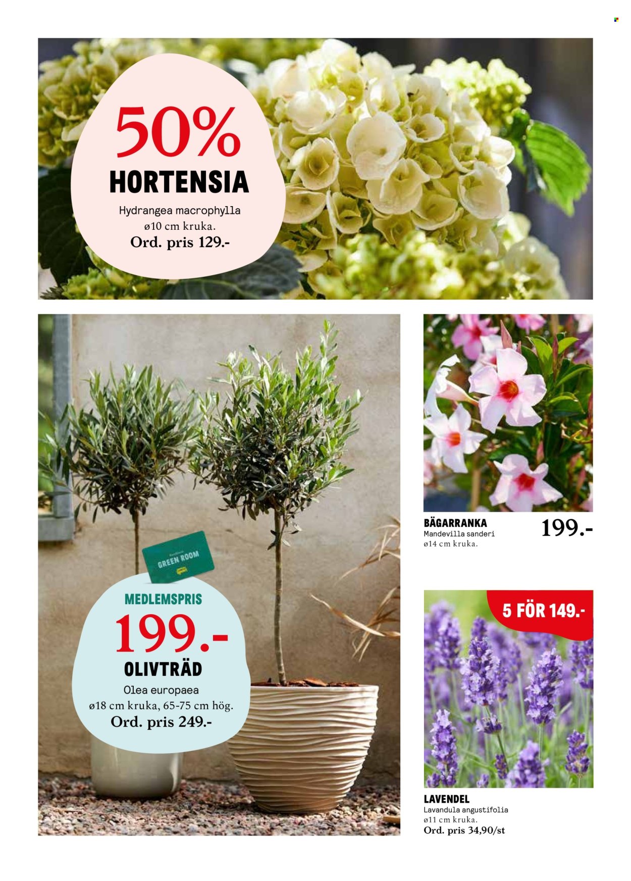 Blomsterlandet reklamblad - 15/4 2024 - 21/4 2024.